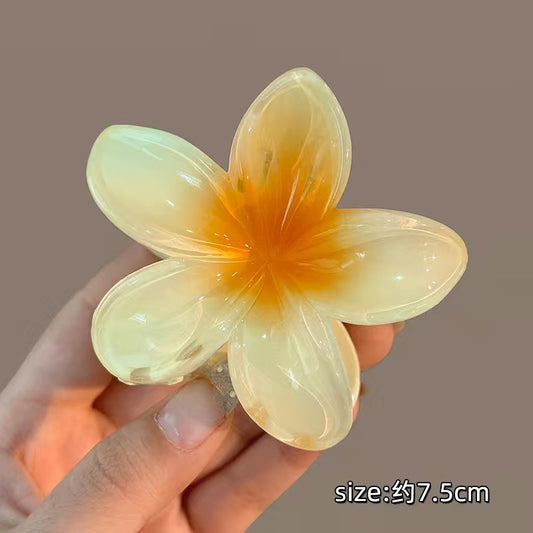 Frangipani grab clip female Internet celebrity super fairy small plate hair clip temperament shark clip hair grab headwear wholesale