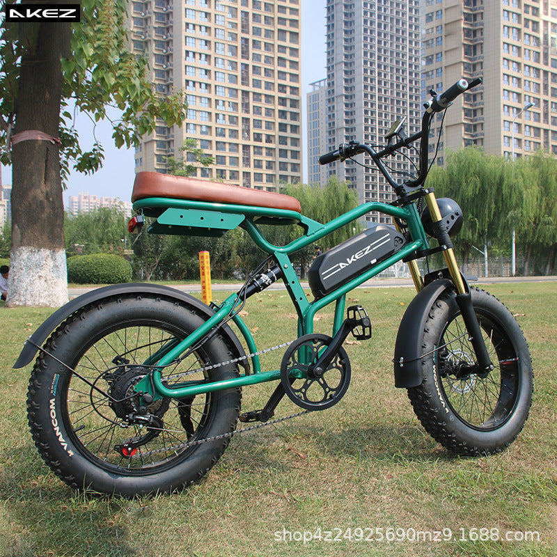 Retro 20 inch thick wheel bike off-road assist mountain bike