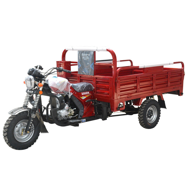 Hot sale in Africa Fuel three-wheeled motorcycle Factory