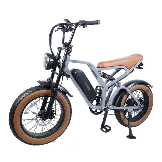 Electric Bikes, Retro Bikes, Snowmobiles, Fat Bikes, Fat Bikes, Bicycles